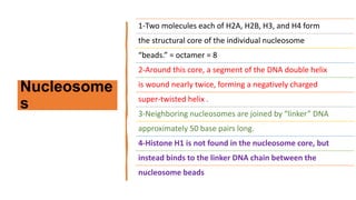 Nucleosome
s
1-Two molecules each of H2A, H2B, H3, and H4 form
the structural core of the individual nucleosome
“beads.” = octamer = 8
2-Around this core, a segment of the DNA double helix
is wound nearly twice, forming a negatively charged
super-twisted helix .
3-Neighboring nucleosomes are joined by “linker” DNA
approximately 50 base pairs long.
4-Histone H1 is not found in the nucleosome core, but
instead binds to the linker DNA chain between the
nucleosome beads
 
