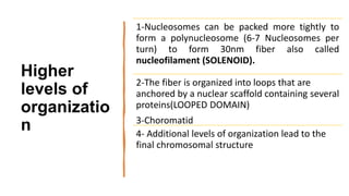 Higher
levels of
organizatio
n
1-Nucleosomes can be packed more tightly to
form a polynucleosome (6-7 Nucleosomes per
turn) to form 30nm fiber also called
nucleofilament (SOLENOID).
2-The fiber is organized into loops that are
anchored by a nuclear scaffold containing several
proteins(LOOPED DOMAIN)
3-Choromatid
4- Additional levels of organization lead to the
final chromosomal structure
 