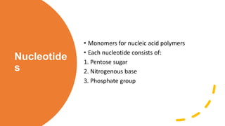 Nucleotide
s
• Monomers for nucleic acid polymers
• Each nucleotide consists of:
1. Pentose sugar
2. Nitrogenous base
3. Phosphate group
 