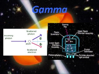 Gamma 