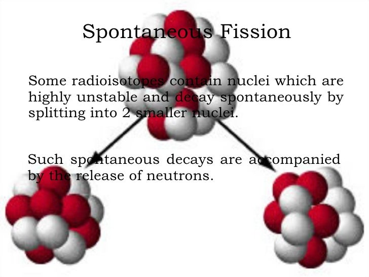 spontaneous fission