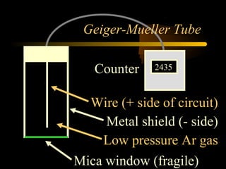 Geiger-Mueller Tube

   Counter    2435



  Wire (+ side of circuit)
     Metal shield (- side)
    Low pressure Ar gas
Mica window (fragile)
 