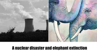 A nuclear disaster and elephant extinction
 