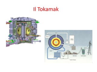Il Tokamak
 
