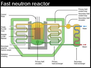 Nuclear energy | PDF