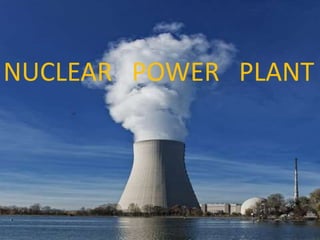 NUCLEAR POWER PLANT