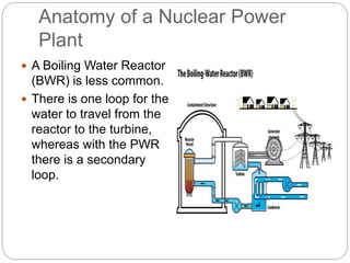 Anatomy of a Nuclear Power
Plant
 A Boiling Water Reactor
(BWR) is less common.
 There is one loop for the
water to travel from the
reactor to the turbine,
whereas with the PWR
there is a secondary
loop.
 