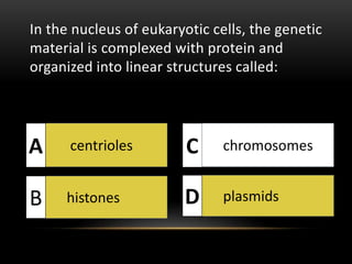 In the nucleus of eukaryotic cells, the genetic 
material is complexed with protein and 
organized into linear structures called: 
A centrioles 
chromosomes 
histones plasmids 
B 
C D 
 