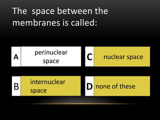 The space between the 
membranes is called: 
perinuclear 
space 
internuclear 
space 
nuclear space 
none of these 
A 
B 
C 
D 
perinuclear 
space 
 