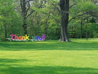 Nucleus of eukaryote