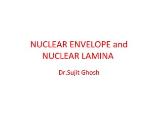 NUCLEAR ENVELOPE and
NUCLEAR LAMINA
Dr.Sujit Ghosh
 