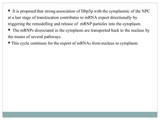 ▪ It is proposed that strong association of Dbp5p with the cytoplasmic of the NPC
at a last stage of translocation contributes to mRNA export directionally by
triggering the remodelling and release of mRNP particles into the cytoplasm.
▪ The mRNPs dissociated in the cytoplasm are transported back to the nucleus by
the means of several pathways.
▪ This cycle continues for the export of mRNAs from nucleus to cytoplasm.
 