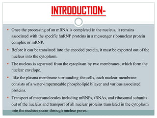 INTRODUCTION-
▪ Once the processing of an mRNA is completed in the nucleus, it remains
associated with the specific hnRNP proteins in a messenger ribonuclear protein
complex or mRNP.
▪ Before it can be translated into the encoded protein, it must be exported out of the
nucleus into the cytoplasm.
▪ The nucleus is separated from the cytoplasm by two membranes, which form the
nuclear envelope.
▪ like the plasma membrane surrounding the cells, each nuclear membrane
consists of a water-impermeable phospholipid bilayer and various associated
proteins.
▪ Transport of macromolecules including mRNPs, tRNAs, and ribosomal subunits
out of the nucleus and transport of all nuclear proteins translated in the cytoplasm
into the nucleus occur through nuclear pores.
 