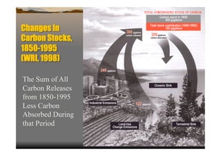 Changes in
Carbon Stocks,
1850-1995
(WRI, 1998)

The Sum of All
Carbon Releases
from 1850-1995
Less Carbon
Absorbed During
that Period
 