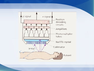 Comprehensive Overview of Nuclear Medicine Imaging and Therapy ...