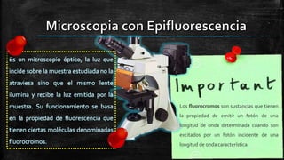 Es un microscopio óptico, la luz que
incide sobre la muestra estudiada no la
atraviesa sino que el mismo lente
ilumina y recibe la luz emitida por la
muestra. Su funcionamiento se basa
en la propiedad de fluorescencia que
tienen ciertas moléculas denominadas
fluorocromos.
Los fluorocromos son sustancias que tienen
la propiedad de emitir un fotón de una
longitud de onda determinada cuando son
excitados por un fotón incidente de una
longitud de onda característica.
 