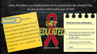 Fluorocromos utilizados::
• Anticuerpo de conejo anti-JAK3
• Anticuerpo de conejo anti-
pY980-JAK3
• Anticuerpo ratón anti-CD4
• DAPI
 