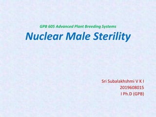 GPB 605 Advanced Plant Breeding Systems
Nuclear Male Sterility
Sri Subalakhshmi V K I
2019608015
I Ph.D (GPB)
 