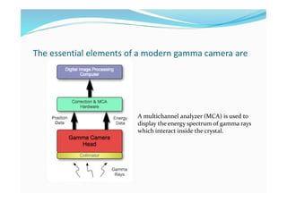 The essential elements of a modern gamma camera are
A multichannel analyzer (MCA) is used to
display the energy spectrum of gamma rays
which interact inside the crystal.
 