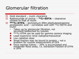 Glomerular filtration
 Gold standard – inulin clearance
 Radionuclide of choice – 51Cr-EDTA – clearance
closest to that of inulin
 99mTc-DTPA – technetium-99m-diethylenetriamine
pentaacetic acid – correlates well with 51Cr-EDTA and
inulin
• Taken up by glomerular filtration, not
secreted/reabsorbed by tubules
 99mTc-DTPA can be used for gamma camera imaging
 Least expensive renal radiopharmaceutical
 Low radiation dose
 Small fraction may be bound to protein – not a
problem for routine measurement of GFR
 Once reaches kidney – 20% is accumulated and
remainder flows away, i.e. extraction fraction of DTPA
is 20%
 