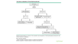 Nuclear nephrology | PPTX