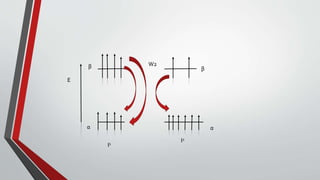 β
α
β
α
I1
I2
E
W2
 