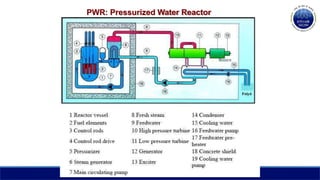 PWR: Pressurized Water Reactor
 