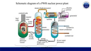 Schematic diagram of a PWR nuclear power plant
control rods
fuel
rods
reactor
pressure
vessel
water
Pump
(cool) pump
(high water
pressure)
(Low water
pressure)
coolant out
coolant in
steam condenser
steam (low
pressure)
turbine
steam
generator
reactor
core
water
(hot)
electric
power
steam (high pressure)
primary loop secondary loop
generator
 