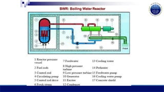 BWR: Boiling Water Reactor
 