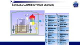 CANDU(CANADIAN DEUTERIUM URANIUM)
Key
1 Fuel bundle 7
Heavy water
pump
2
Calandria
(reactor core)
8
Fueling
machines
3 Adjuster rods 9
Heavy water
Moderator
4
Heavy Water
pressure
reservoir
10 Pressure tube
5
Steam
Generator
11
Steam going
to Steam
turbine
6
Light water
pump
12
Cold water
returning
from turbine
 