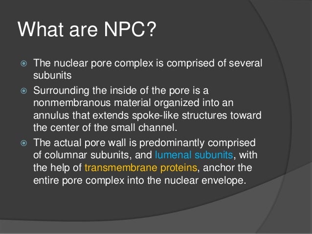 Nuclear Pores