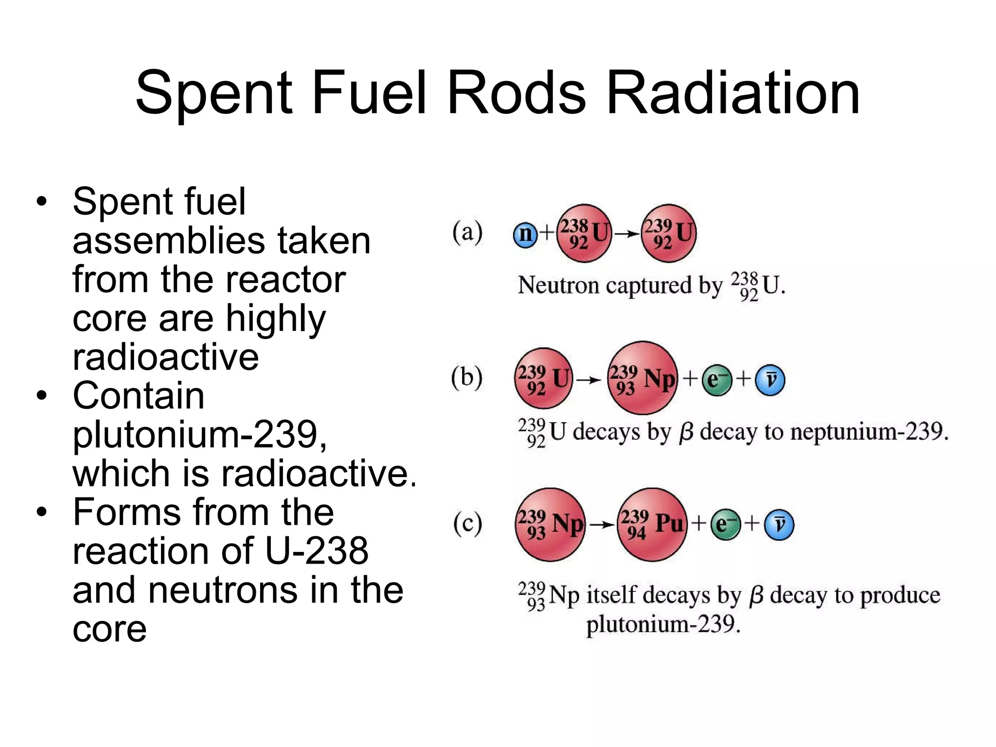 Spent Fuel Rods Radiation Spent fuel assemblies taken from the reactor core are highly radioactive Contain plutonium-239, which is radioactive. Forms from the reaction of U-238 and neutrons in the core 
