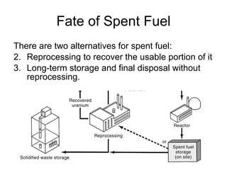 Fate of Spent Fuel
There are two alternatives for spent fuel:
2. Reprocessing to recover the usable portion of it
3. Long-term storage and final disposal without
reprocessing.
 