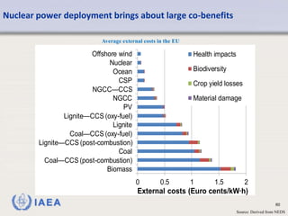 IAEA 60
Nuclear power deployment brings about large co-benefits
Source: Derived from NEDS
0 0.5 1 1.5 2
Biomass
Coal—CCS (post-combustion)
Coal
Lignite—CCS (post-combustion)
Coal—CCS (oxy-fuel)
Lignite
Lignite—CCS (oxy-fuel)
PV
NGCC
NGCC—CCS
CSP
Ocean
Nuclear
Offshore wind
External costs (Euro cents/kW∙h)
Health impacts
Biodiversity
Crop yield losses
Material damage
Average external costs in the EU
 