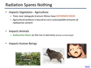 Radiation Spares Nothing
• Impacts Vegetation - Agriculture
   – Trees near Jaduguda Uranium Mines have DEFORMED SEEDS
   – Agricultural produce is bound to carry unacceptable amounts of
     radioactive content


• Impacts Animals
   – Radioactive Boars on the rise in Germany (thanks to Chernobyl)


• Impacts Human Beings




                                                                      home
 