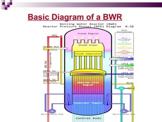 Basic Diagram of a BWR 