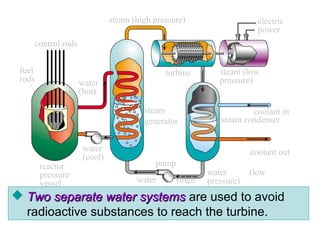 control rods
fuel
rods
reactor
pressure
vessel
water
(cool)
water
(hot)
water (high
pressure)
water (low
pressure)
coolant out
coolant in
steam condenser
steam (low
pressure)
turbine
electric
power
steam
generator
steam (high pressure)
pump
primary loop secondary loop
 Two separate water systemsTwo separate water systems are used to avoid
radioactive substances to reach the turbine.
 