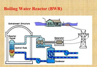 Boiling Water Reactor (BWR)
 
