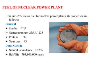 Nuclear power plant