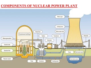 Nuclear power plant