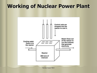 Nuclear Power Plant
Working of Nuclear Power Plant
 