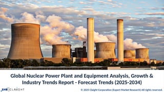 Nuclear Power Plant and Equipment Market Size, Share & Growth Report | PPTX