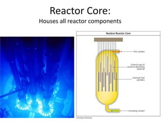 Reactor Core:
Houses all reactor components
 