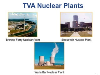 TVA Nuclear Plants Sequoyah Nuclear Plant Browns Ferry Nuclear Plant Watts Bar Nuclear Plant 1 