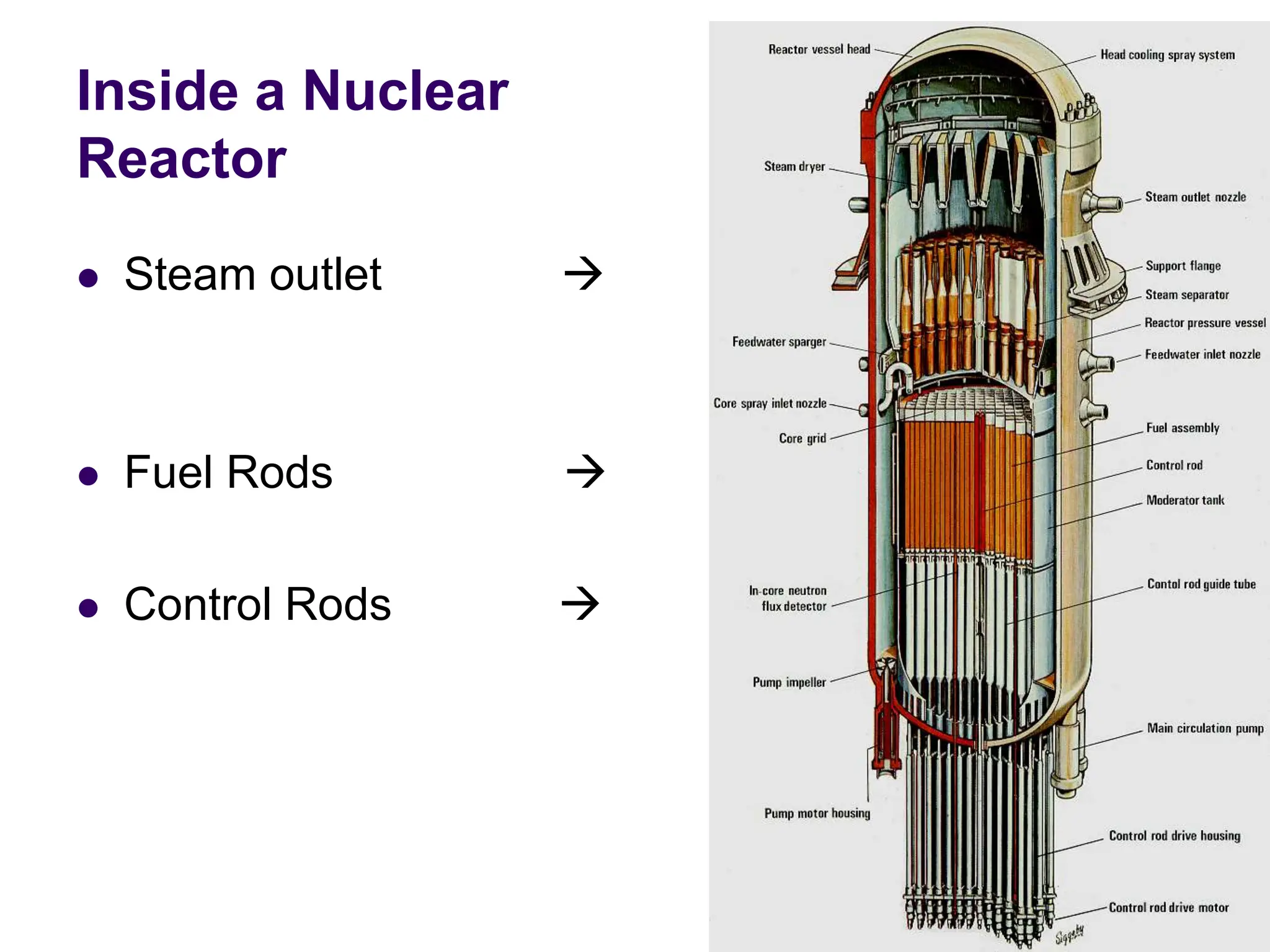 Inside a Nuclear
Reactor
 Steam outlet 
 Fuel Rods 
 Control Rods 
 