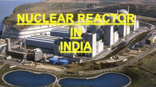 NUCLEAR REACTOR 
IN 
INDIA 
 