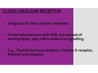 CLASS 3 NUCLEAR RECEPTOR
• Subgroup of class 2 nuclear receptors.
• Forms heterodimers with RXR, but instead of
sensing lipids, play role in endocrine signalling.
• E.g.,Thyroid hormone receptor,Vitamin D receptor,
Retinoic acid receptor.
 