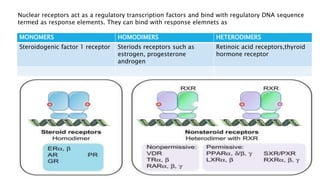 MONOMERS HOMODIMERS HETERODIMERS
Steroidogenic factor 1 receptor Steriods receptors such as
estrogen, progesterone
androgen
Retinoic acid receptors,thyroid
hormone receptor
Nuclear receptors act as a regulatory transcription factors and bind with regulatory DNA sequence
termed as response elements. They can bind with response elemnets as
 