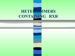 HETERODIMERS
CONTAINING RXR
 