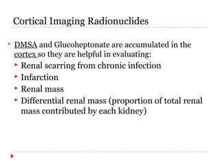 Cortical Imaging Radionuclides 
 DMSA and Glucoheptonate are accumulated in the 
cortex so they are helpful in evaluating: 
 Renal scarring from chronic infection 
 Infarction 
 Renal mass 
 Differential renal mass (proportion of total renal 
mass contributed by each kidney) 
 